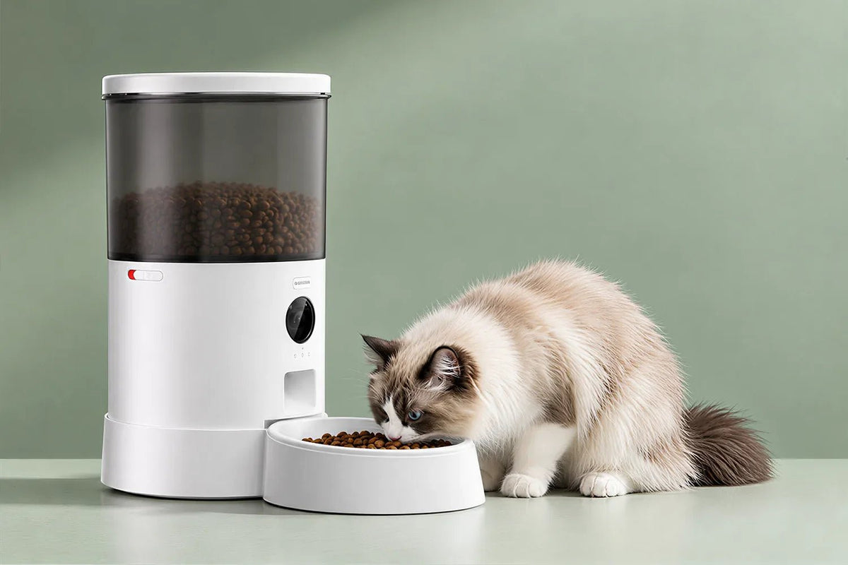 Automatic Vacuum Feeder - DOUDOU PET
