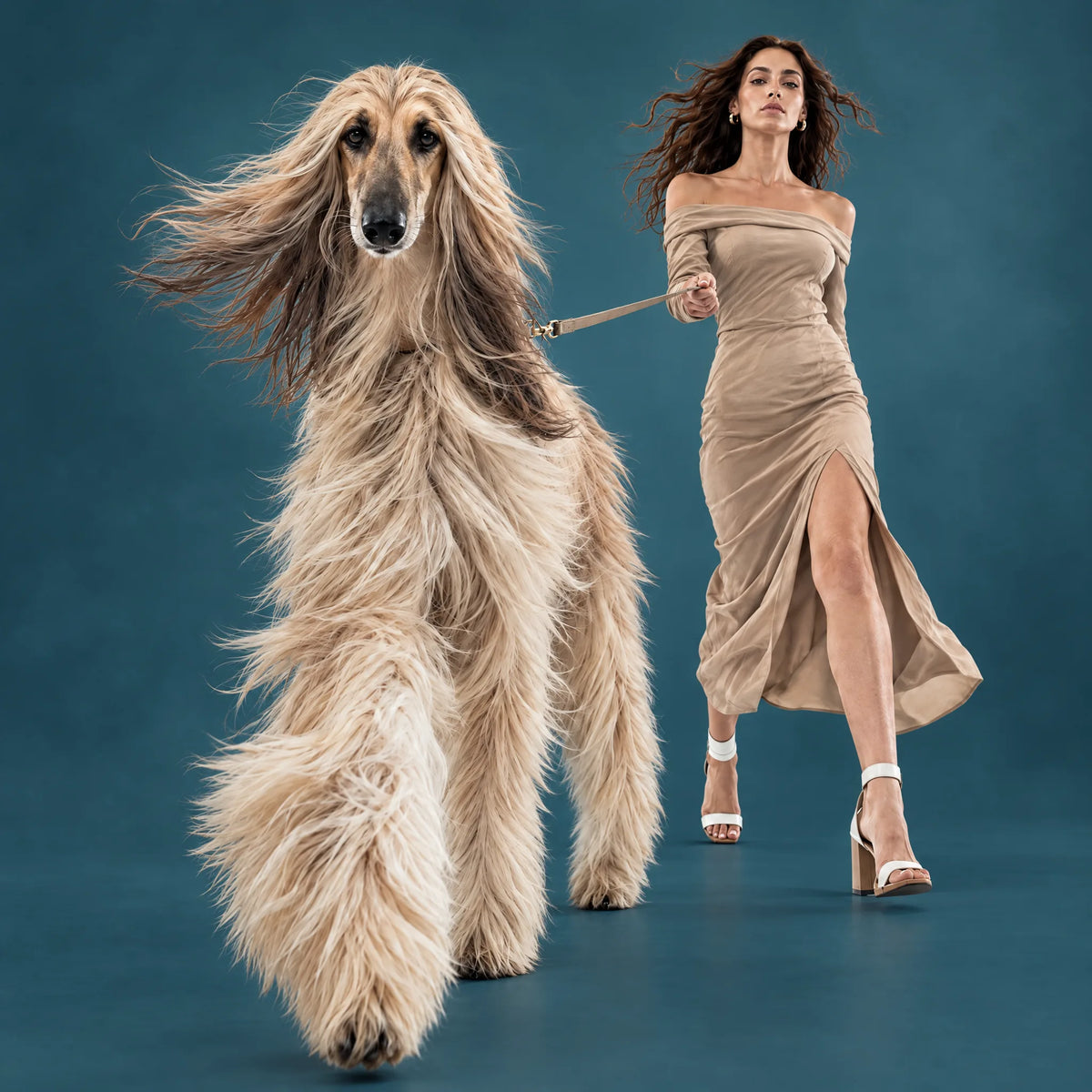Caring for Senior Pets: From "He's Just Old" to "Comfortable Golden Years"