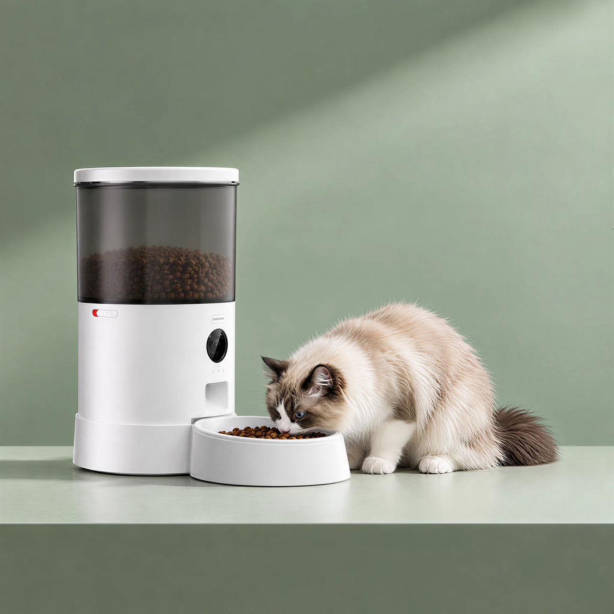 The DOUDOU PET Global Community: Let Love Be Seen Across Time Zones