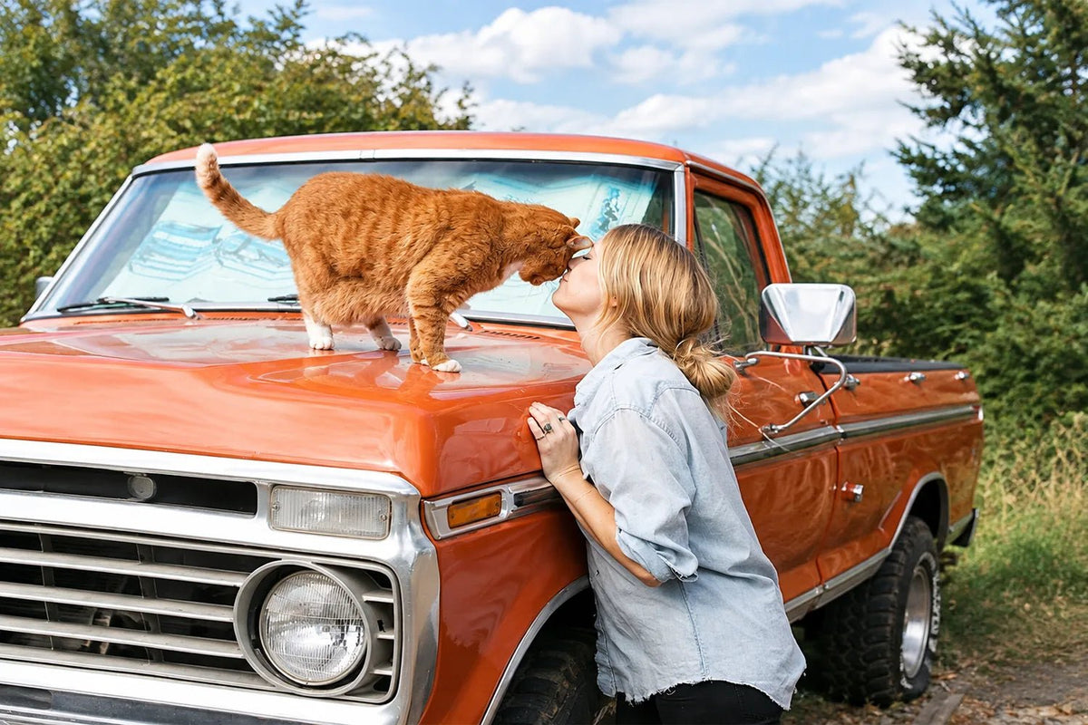 Bond With Your Pet - DOUDOU PET