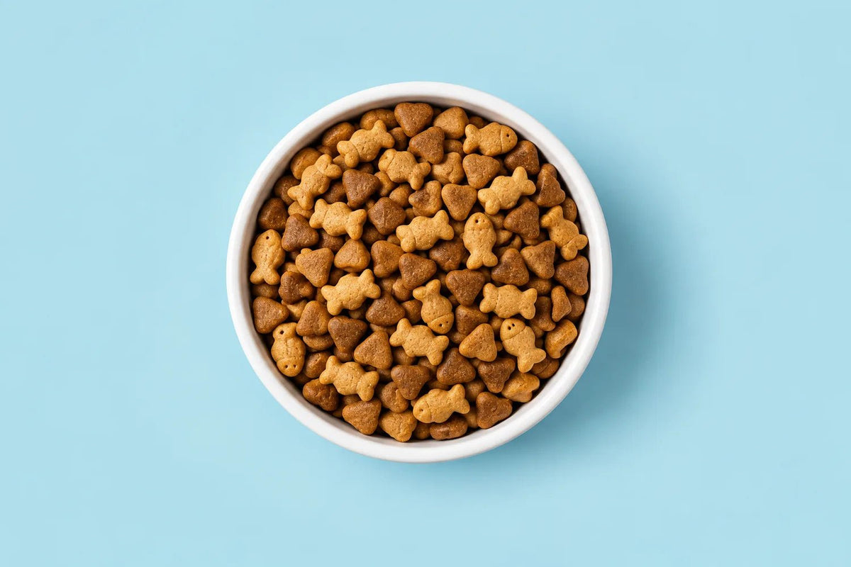 DIY Healthy Pet Treats - DOUDOU PET