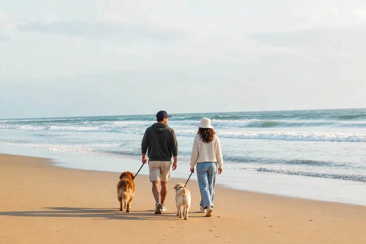 Pets & Your Daily Routine - DOUDOU PET