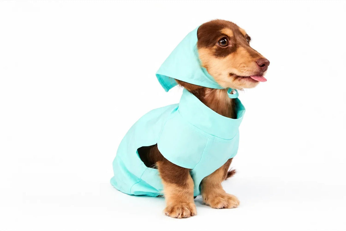 Senior Pet Care - DOUDOU PET