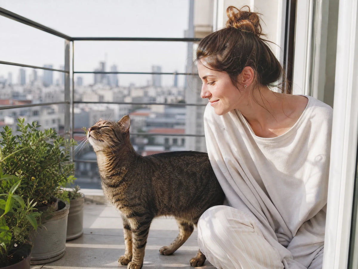 DOUDOU PET Global Pet Community